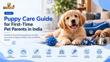 Puppy Care Guide for First-Time Pet Parents in India | Dog It Up